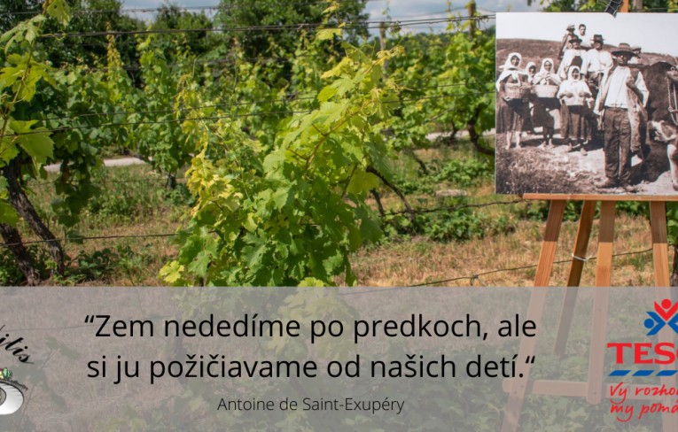 Projekt Vyčistenia okolia komunitného vinohradu Široké Vajnory